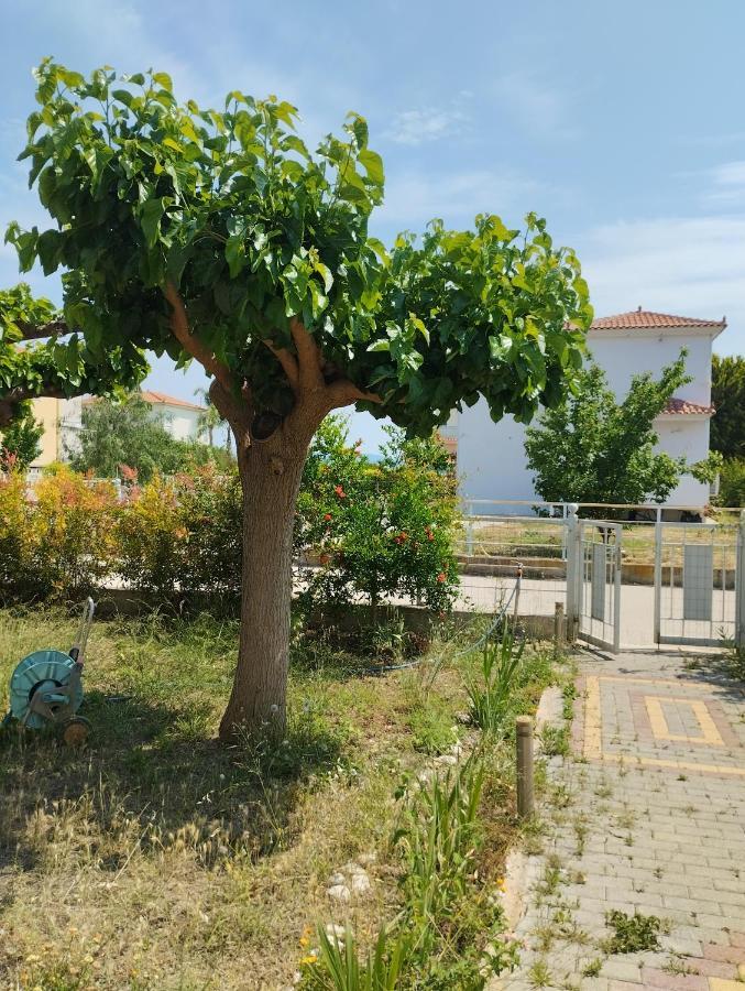 קנדיה Calypso Two Bedroom Apartment מראה חיצוני תמונה